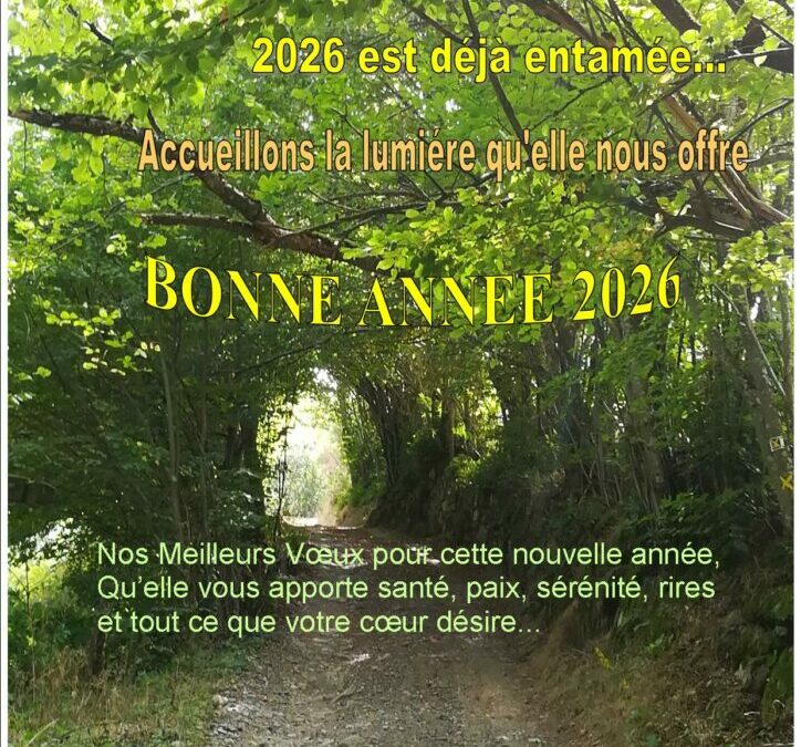 Vœux pour 2026